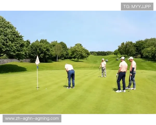 高尔夫公开赛：统治赛场