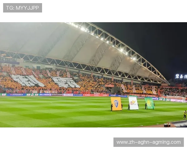 高原足球进行时：贵阳中超赛事全景解码